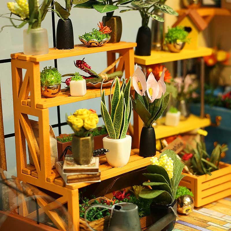Jardín Botánico en Miniatura DIY