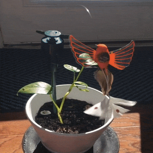 Colibrí giratorio con estaca solar