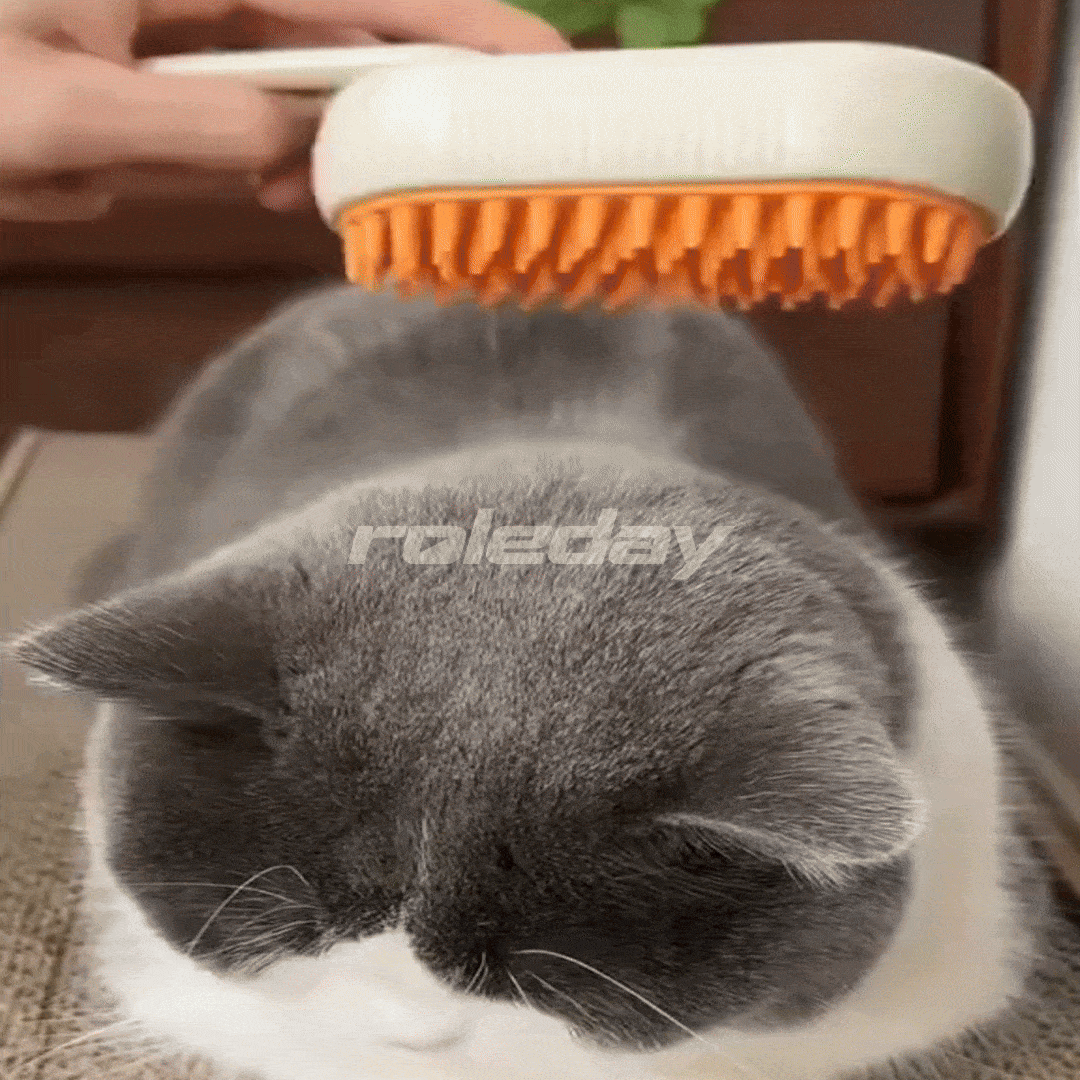 Cepillo de higiene con vapor
