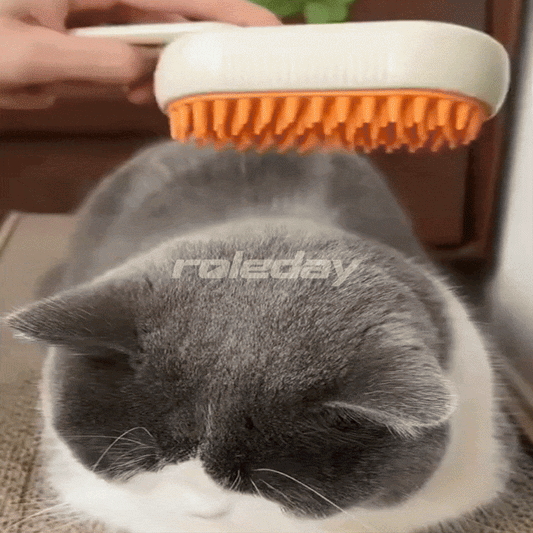 Cepillo de higiene con vapor