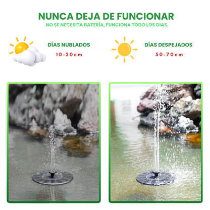Fuente de aves con energía solar